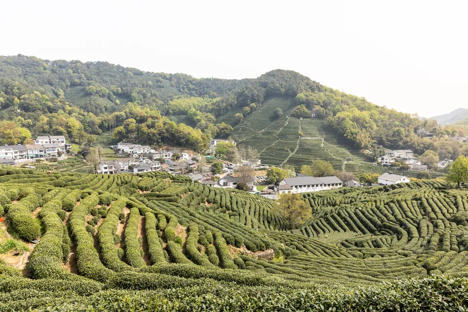 Longjing Village