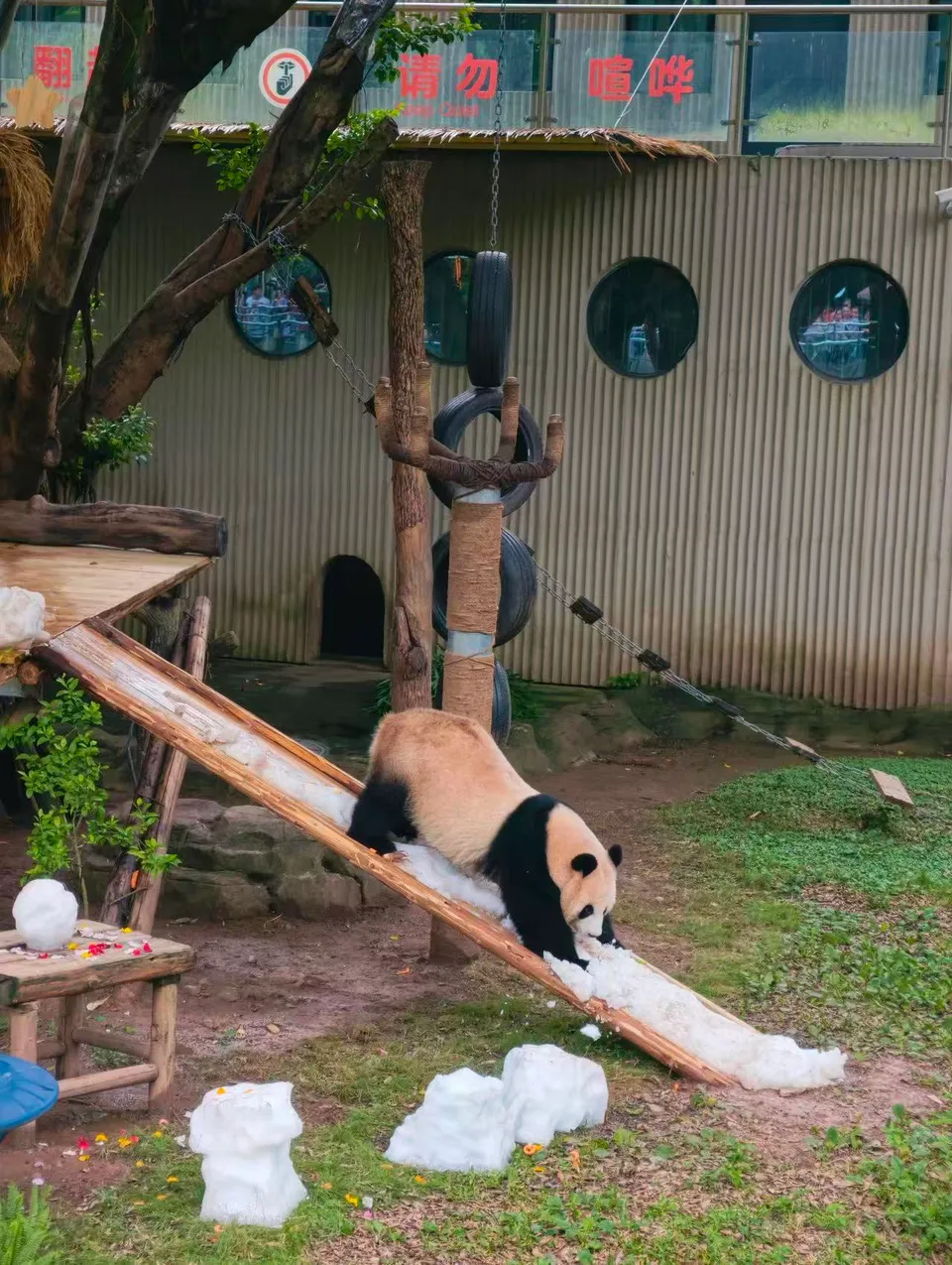 Chongqing Zoo