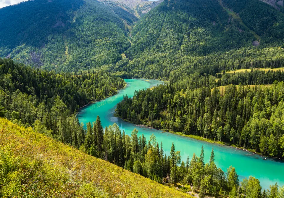 Altay