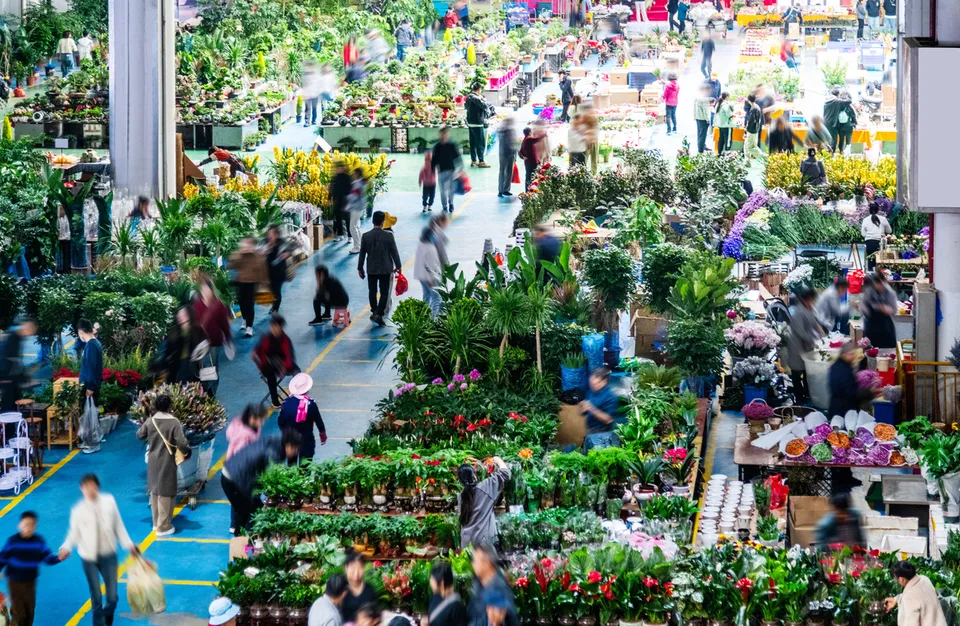 Dounan Flower Market