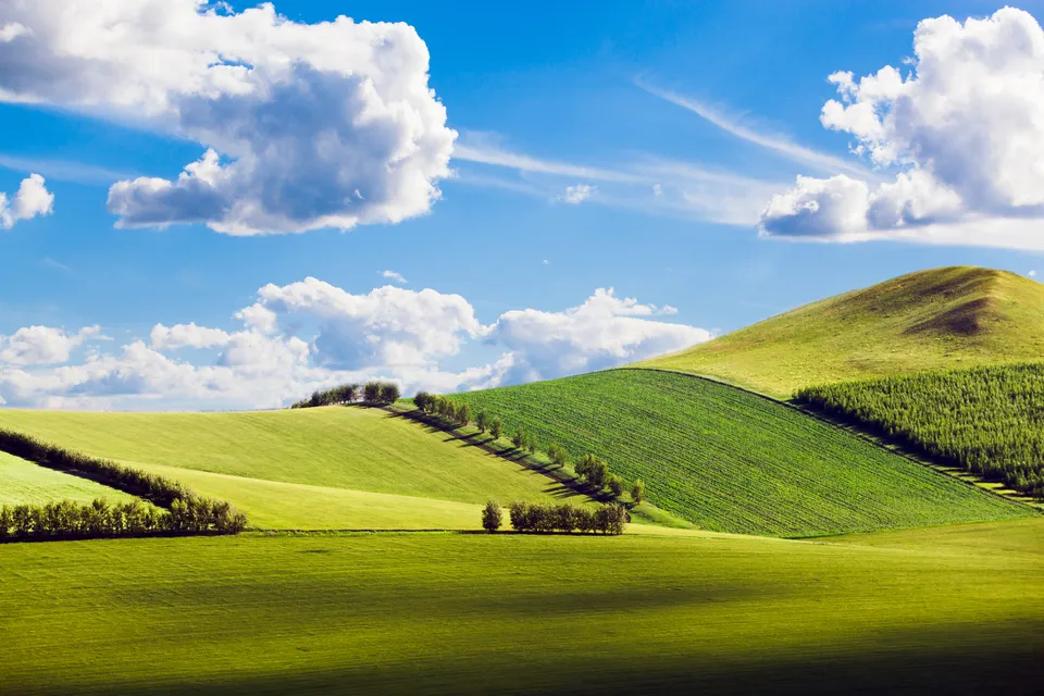Hulunbuir Grassland