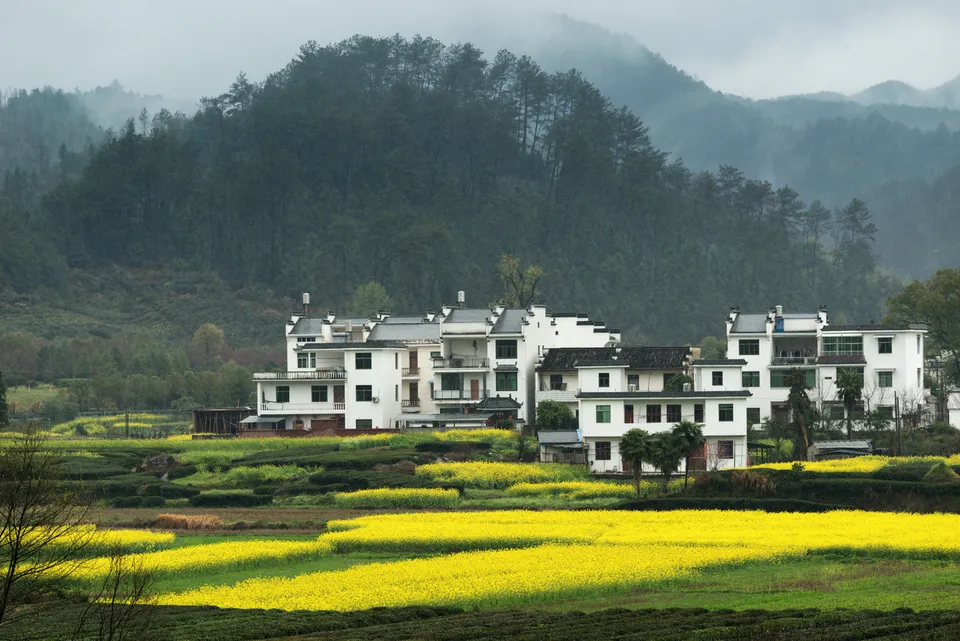 Wuyuan