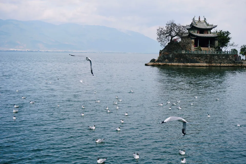 Xiaoputuo Island
