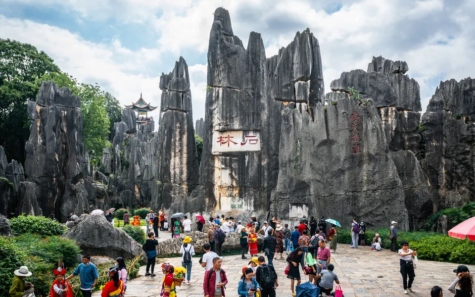 Stone Forest