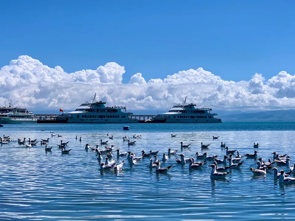 11-Day Qinghai and Gansu Tour
