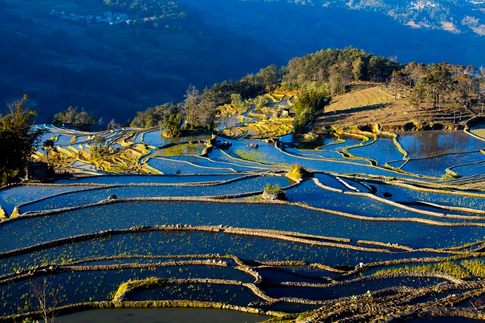 Yuanyang Rice Terraces