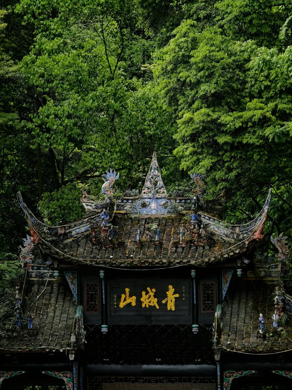 2-Day Dujiangyan and Mount Qingcheng Tour