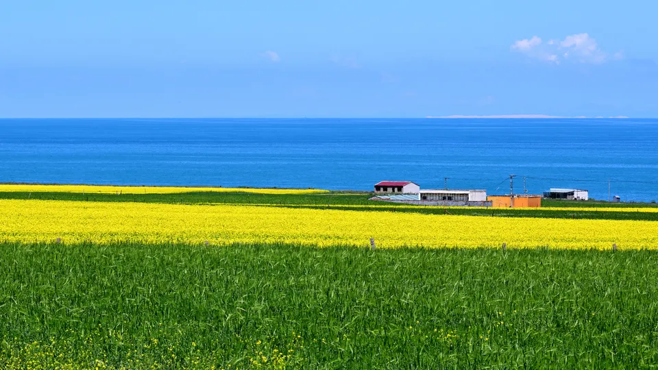 Qinghai Lake